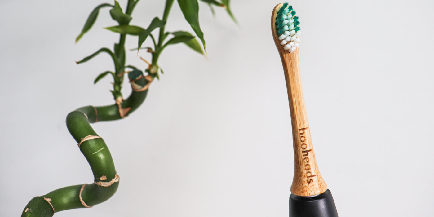 A booheads bamboo replacement head fitted to an electric toothbrush handle