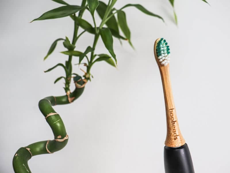 Bamboo electric toothbrush head by booheads with green bristles beside a twisted bamboo plant