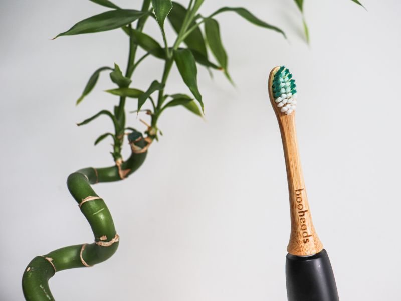 Bamboo electric toothbrush head by Booheads with green bristles, positioned beside a twisted bamboo plant symbolising eco-friendly oral care.