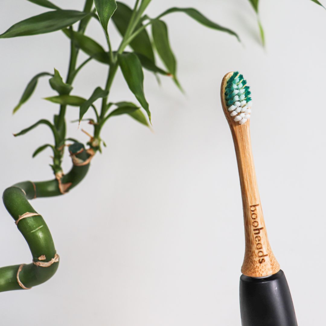 Soniboo Compatible with Sonicare – booheads