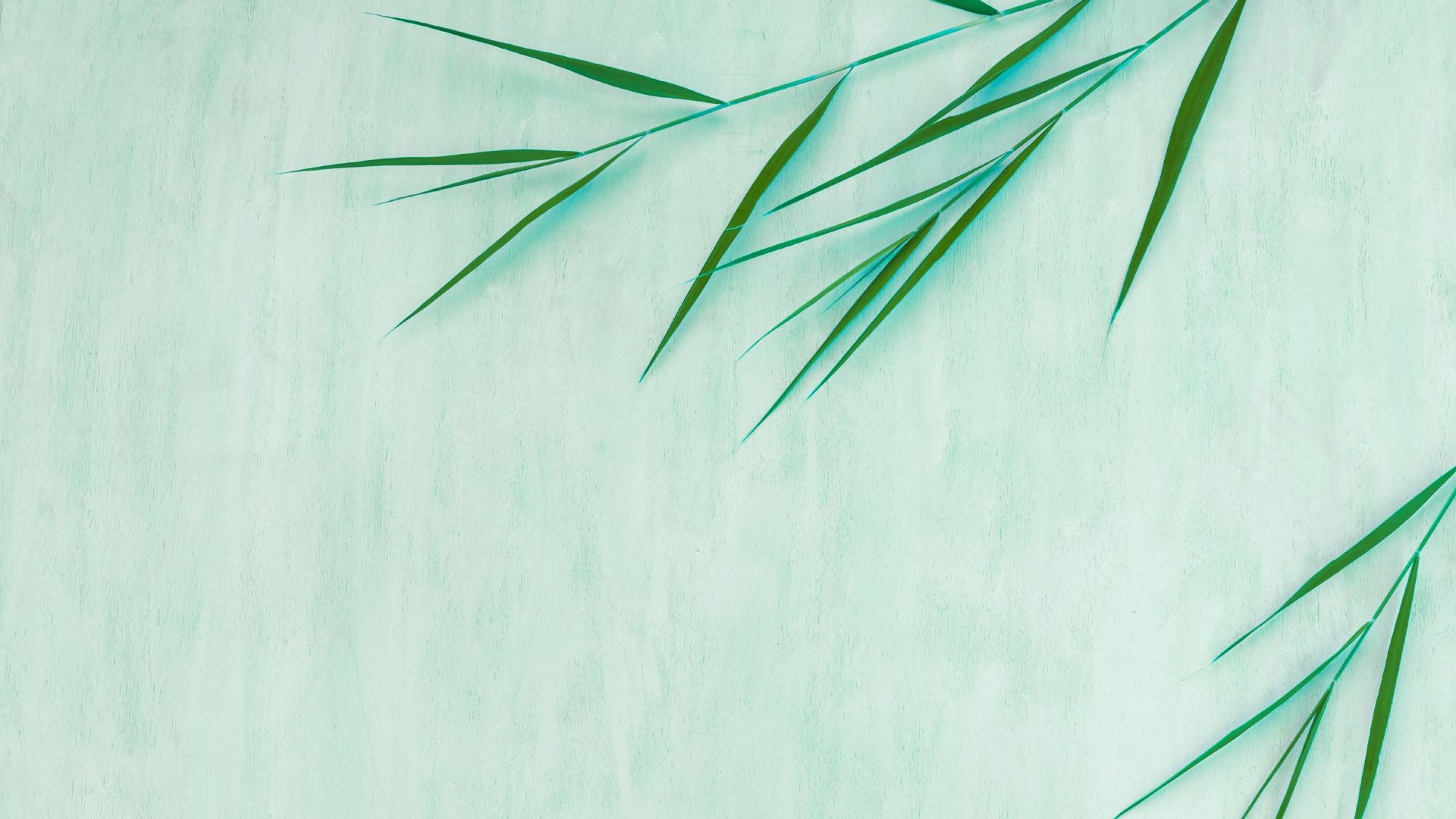 Bamboo leaves - natural brush material