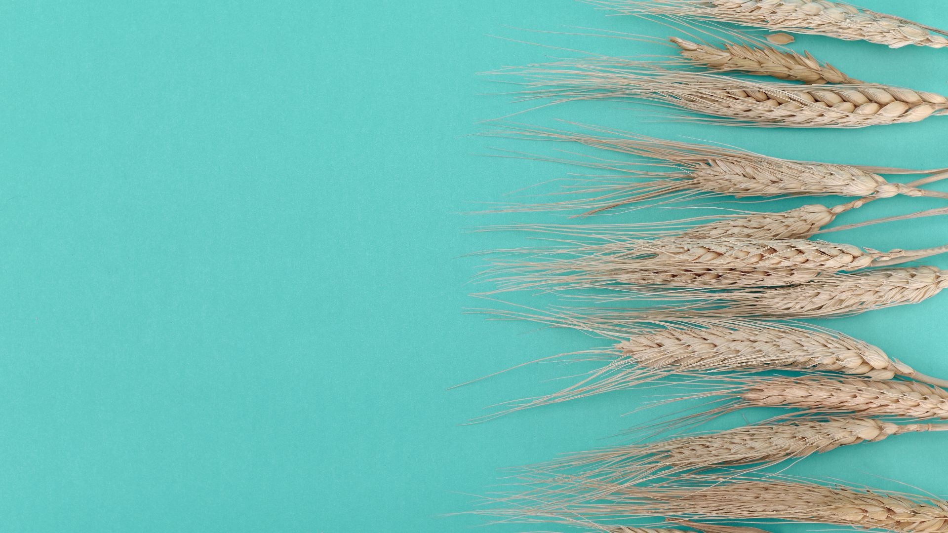 Wheat straw - plant-based brush material