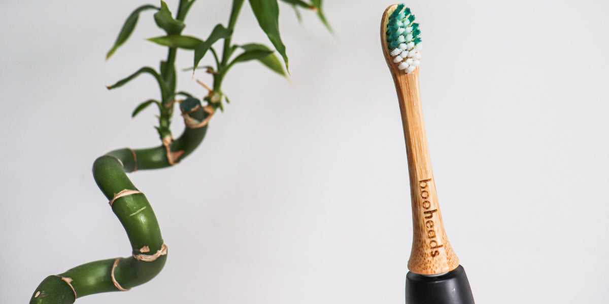 A booheads bamboo replacement head fitted to an electric toothbrush handle