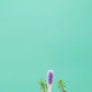 booheads - 4PK - Biodegradable Eco Toothbrushes | Biodegradable, Recyclable and Plant-based