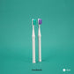 booheads - 2PK - Zero Waste Eco Toothbrushes - Purple & Aqua | Biodegradable,Recyclable and plant-based - booheads